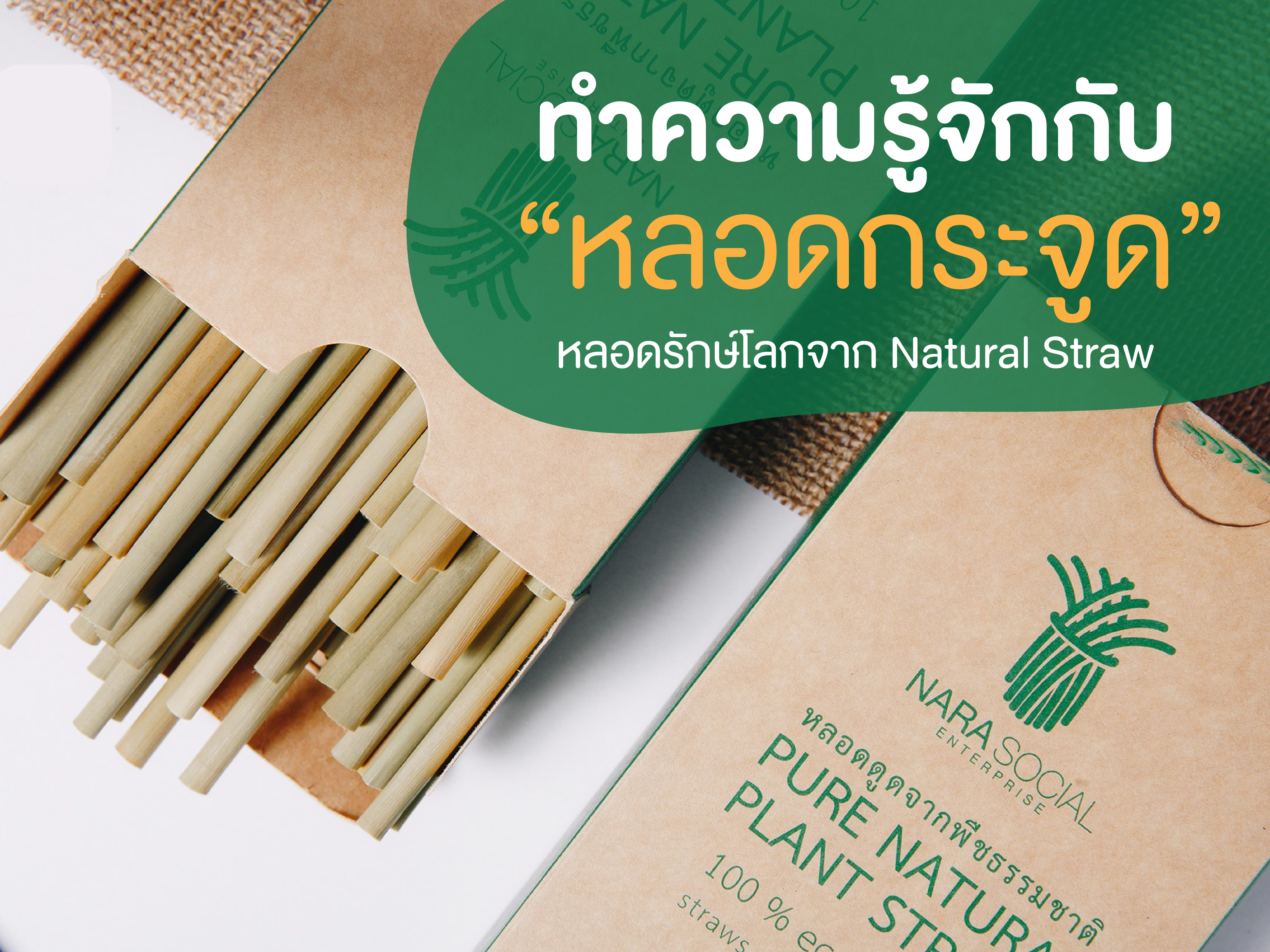 ทำความรู้จักกับ “หลอดกระจูด” หลอดรักษ์โลกจาก Natural Straw